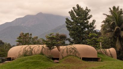 Into the Wild by Earthscape Studio