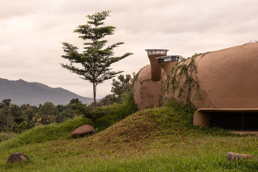 Into the Wild by Earthscape Studio