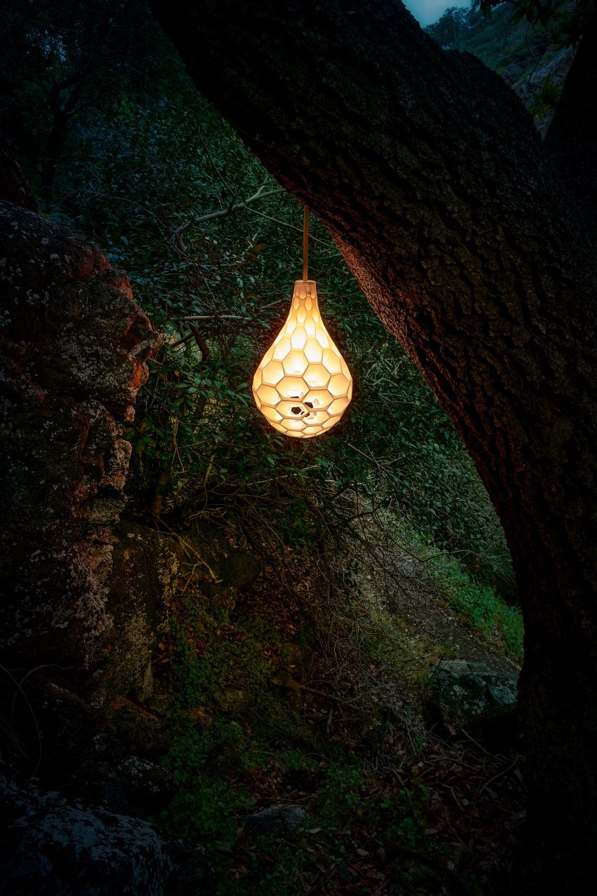Hedron Pendant by Mickus Projects