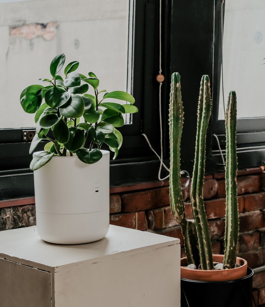 Leafy Pod planter