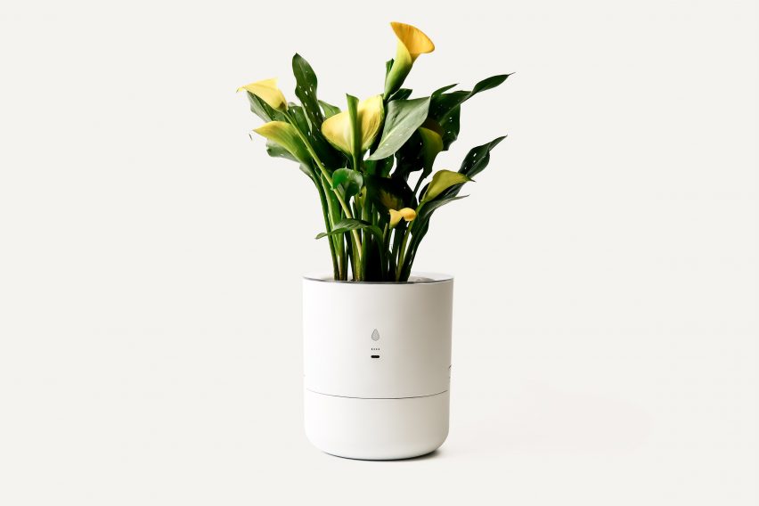 Leafy Pod AI plant