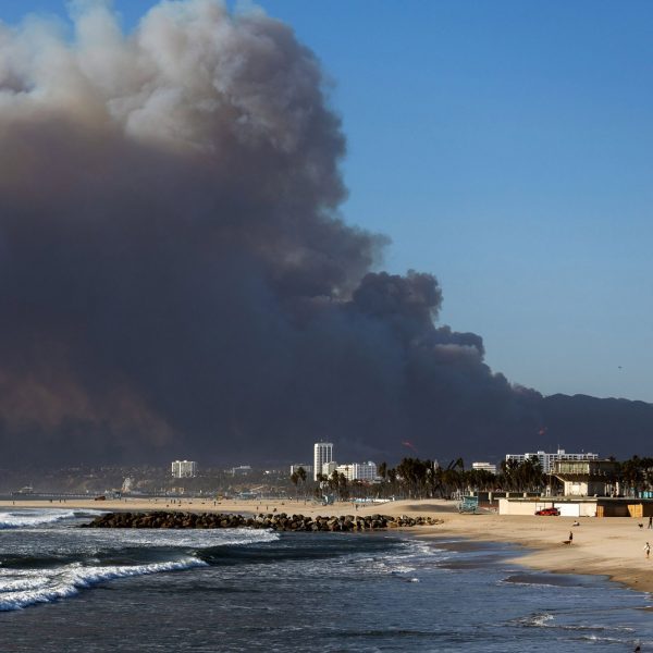 wildfire