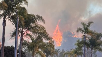 Palisades fire