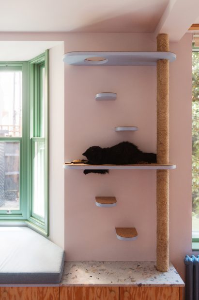 Cat climbing frame inside the Park House extension in London by Office S&M
