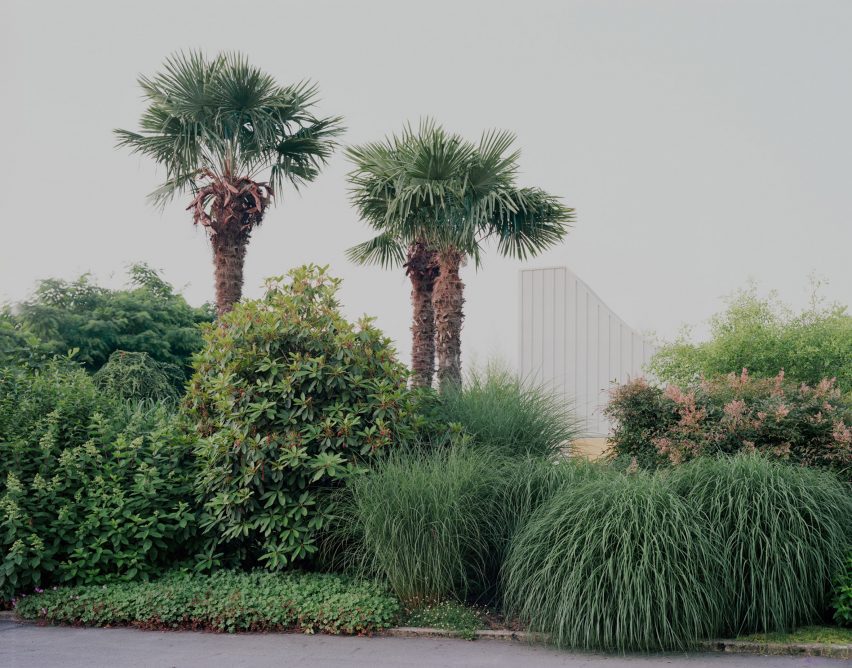 Artist residency by Studio Wok