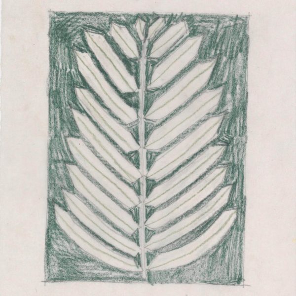 A drawing of a leaf inside a square in tones of green.