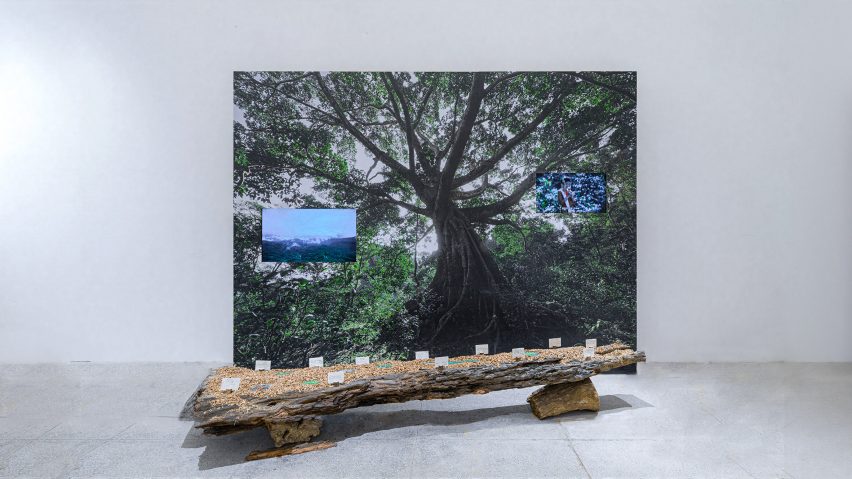 Photo of tree installation