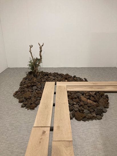wooden plank walkway with mud
