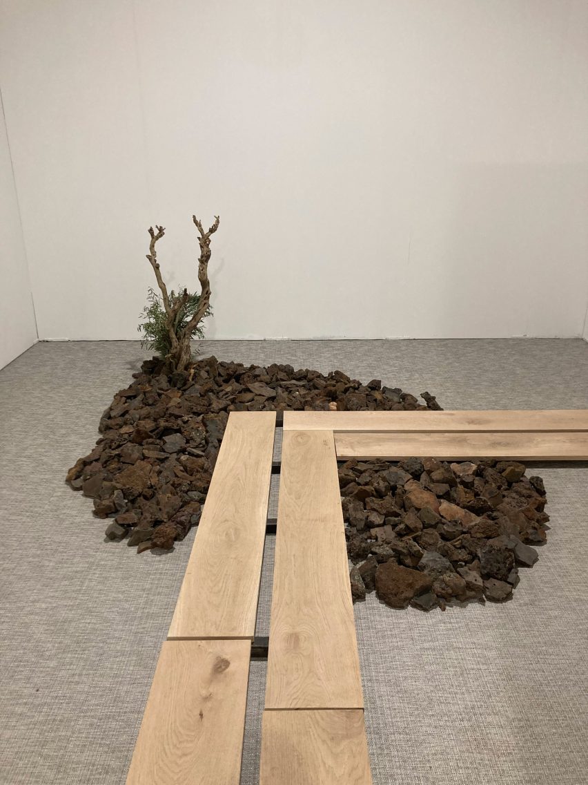 wooden plank walkway with mud