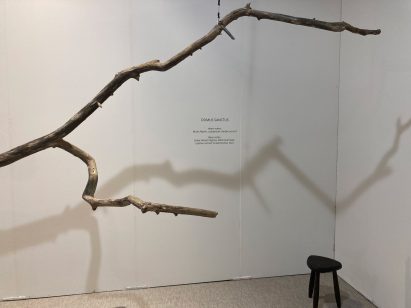 Branch hanging in an exhibition display area