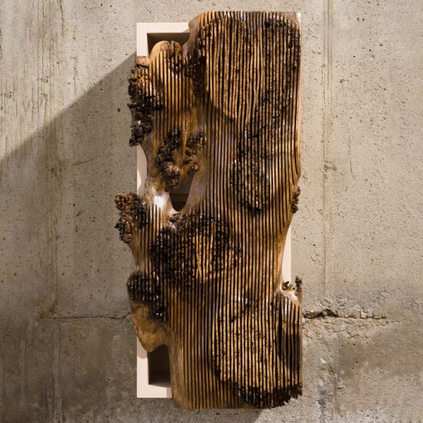 Curio Cabinets by Alan Meredith
