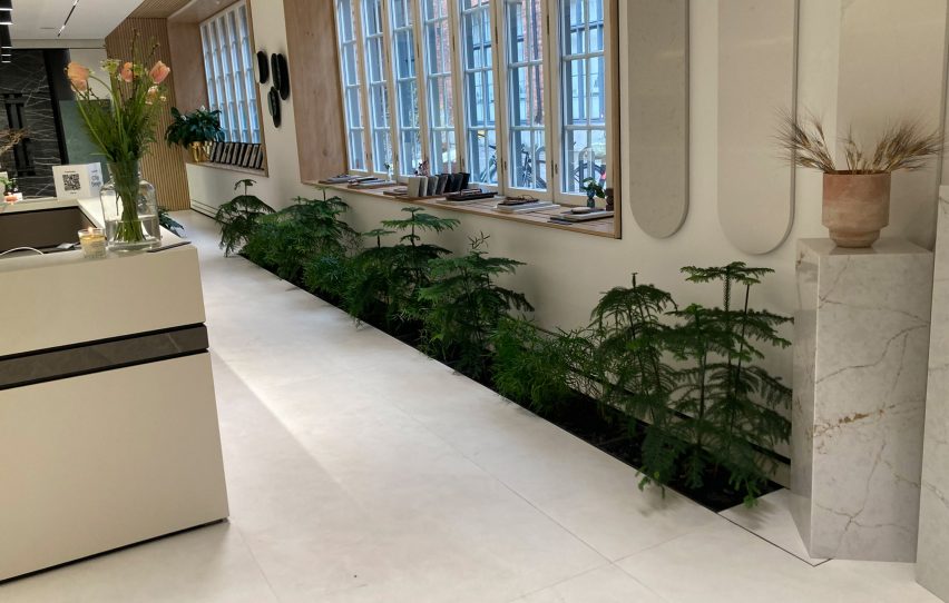 Lush vegetation contrasts sleek stone surfaces