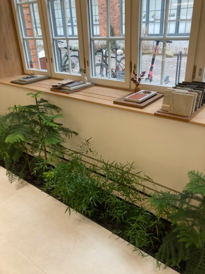 green plants in an indoor bed in a showroom