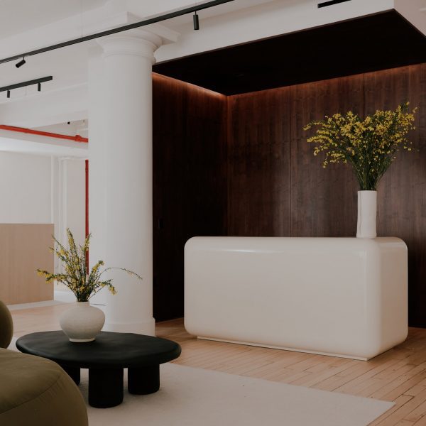 Furniture.com offices by Elmo Studios