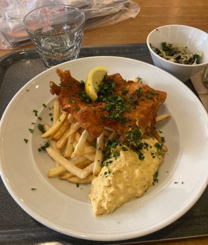 Plate of fish and chips