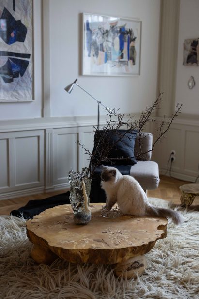 Cat in Stockholm flat