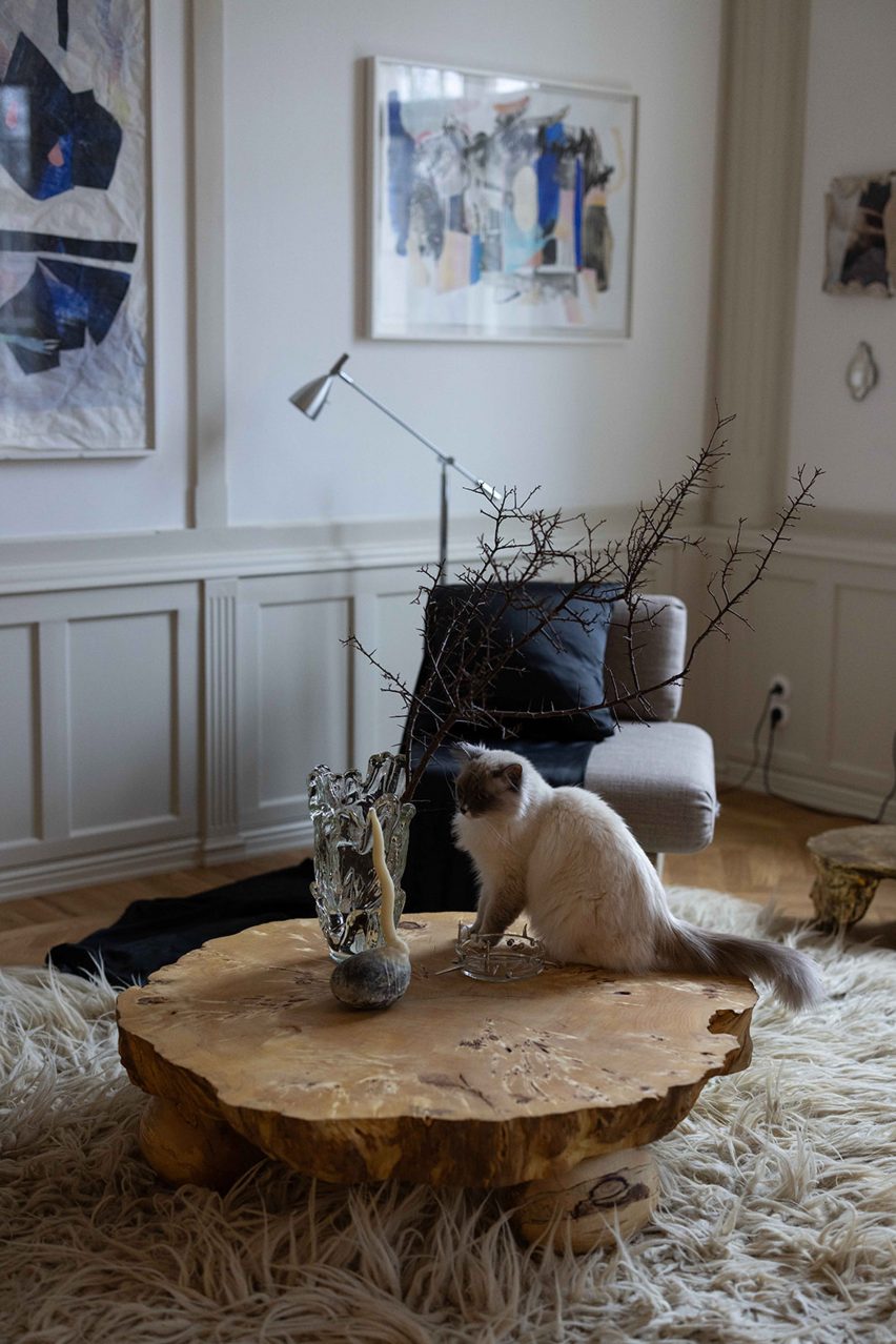 Cat in Stockholm flat