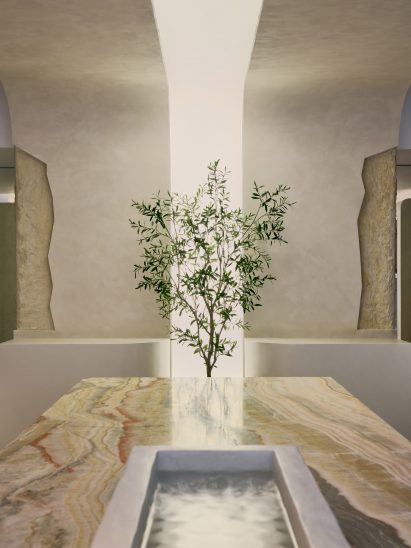 An olive tree in front of a vertical light box 