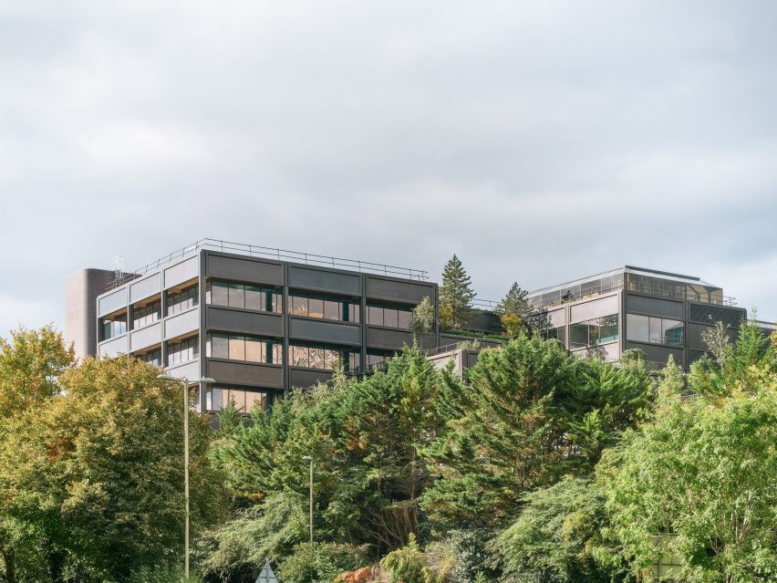 Plant by Twelve Architects and Masterplanners and Studio Knight Stokoe