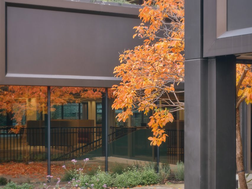 Plant by Twelve Architects and Masterplanners and Studio Knight Stokoe