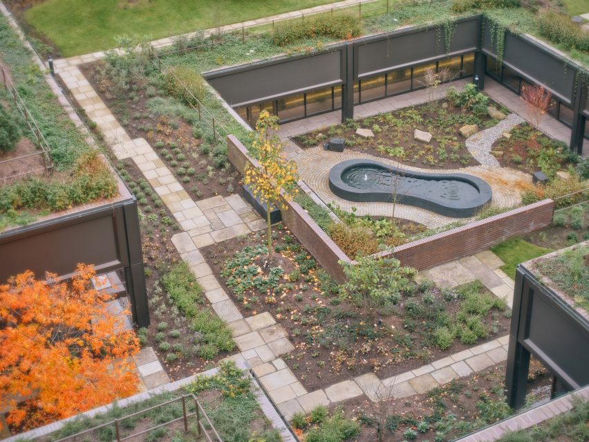 Plant by Twelve Architects and Masterplanners and Studio Knight Stokoe