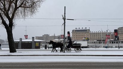 horses in stockholm snow