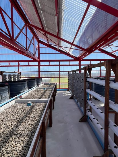 Photo of the rooftop garden at the BT-Soweto community centre before plants were sown, showing rows of planters under a greenhouse-style roof with a red-painted metal structure