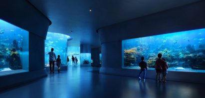 Render of aquarium at the Centre of Mediterranean Culture in Italy