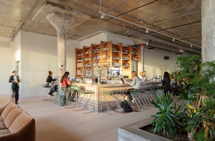 Bar with plants