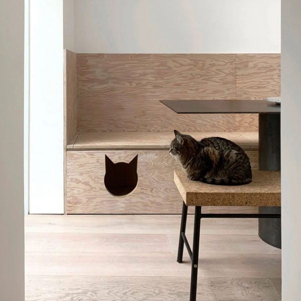 Seven feline-friendly interiors that make cats the master of the home