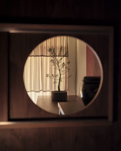 Porthole framing a view of a potted plant