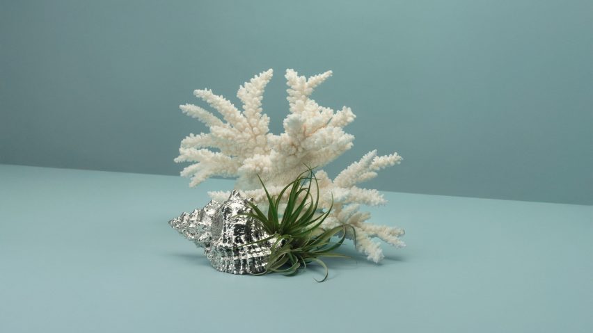 Photo of dried flowers and metal, shell-shaped design object