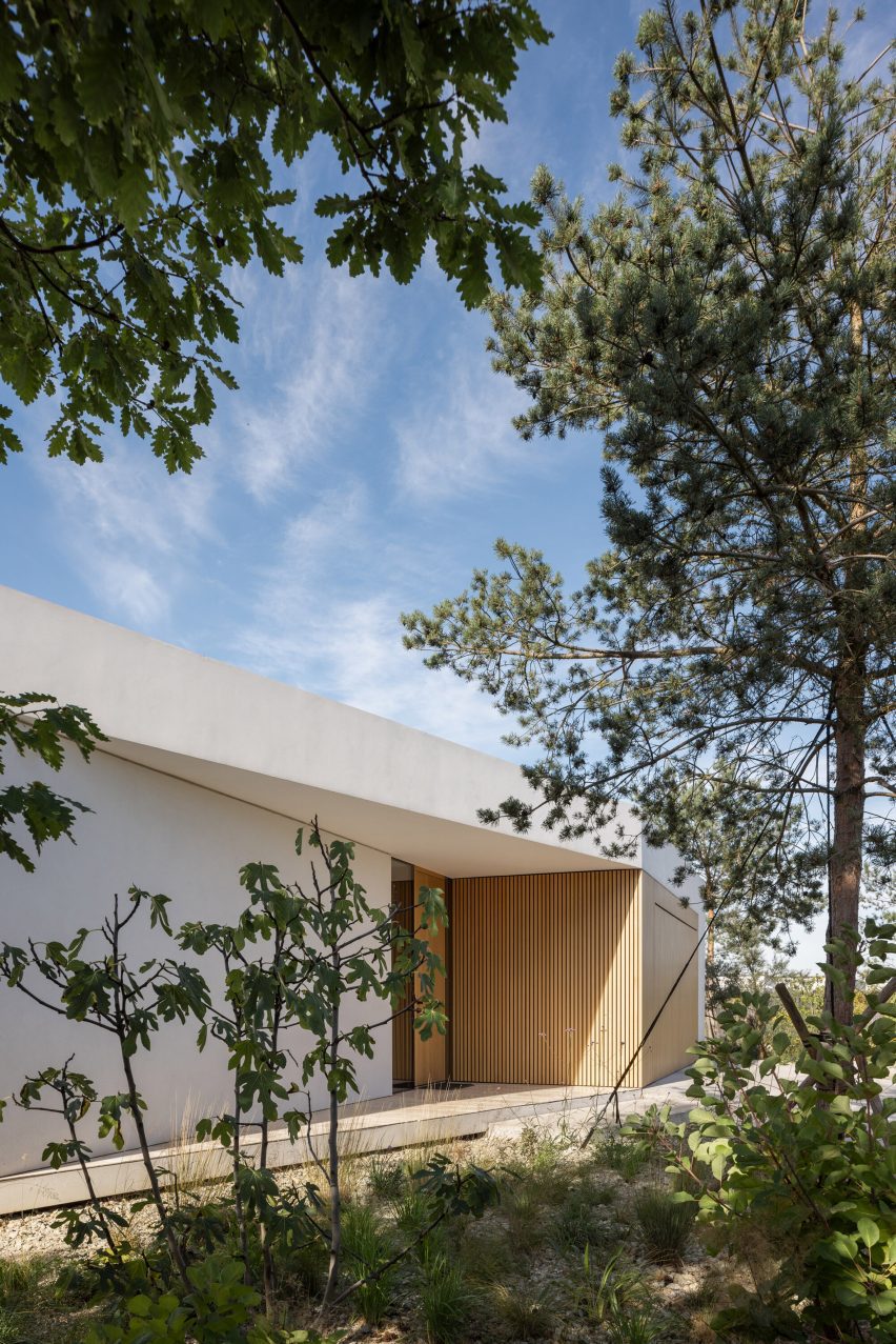House of Gills by Beef Architekti