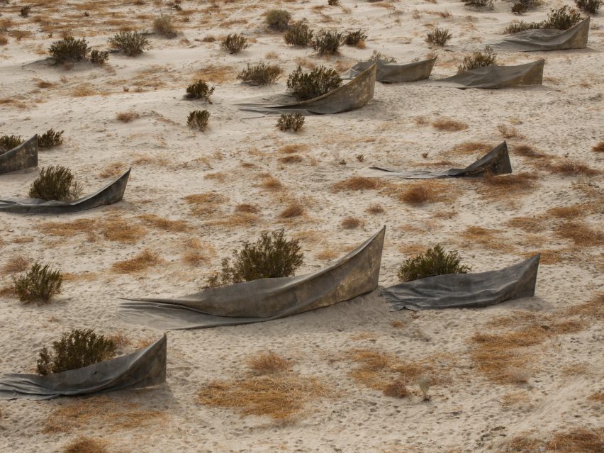 Desert X