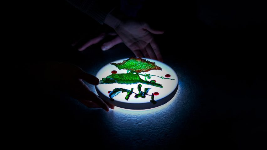 Illuminated plate with food on it