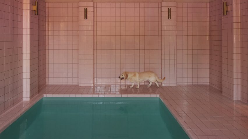 King Animal Hospital