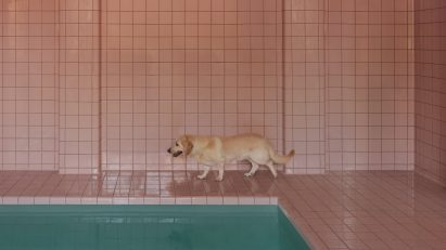King Animal Hospital by Kelly Wearstler