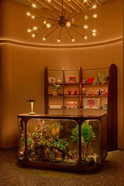 Terrarium-style counter