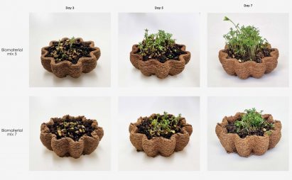a photograph of multiple images of brown plant pots, showing the progression of plant growth