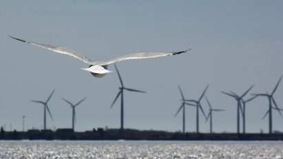 Offshore wind turbines