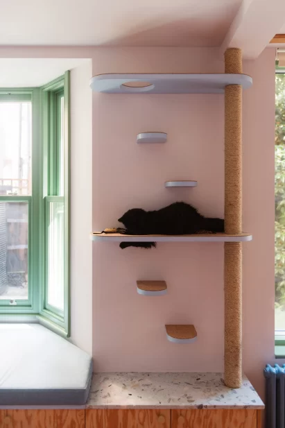 cat climbing frame