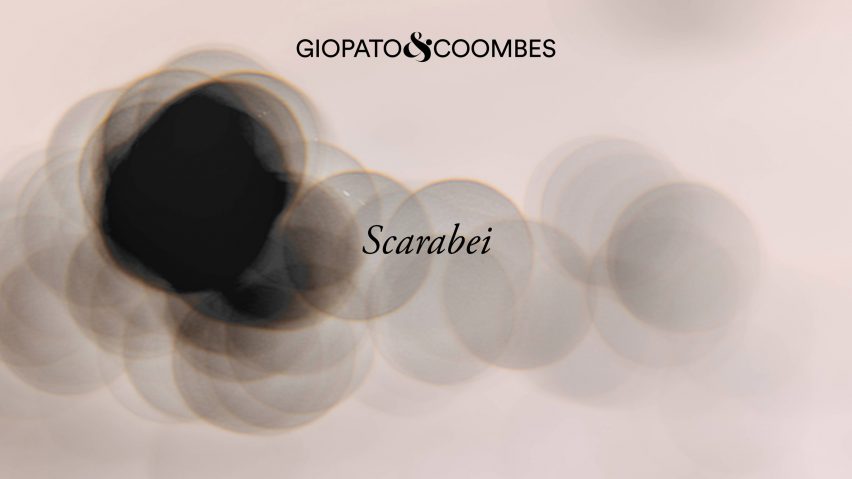 Scarabei by Giopato & Coombes