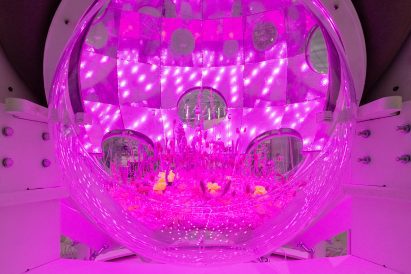 Time capsule for plants by Takk at Solar Biennnale