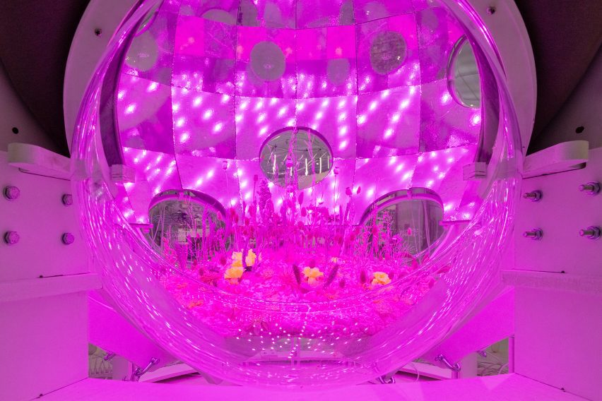 Time capsule for plants by Takk at Solar Biennnale