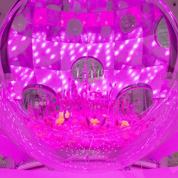 Time capsule for plants by Takk at Solar Biennnale