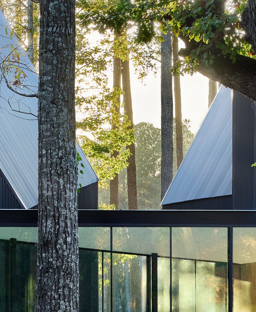House in a forest