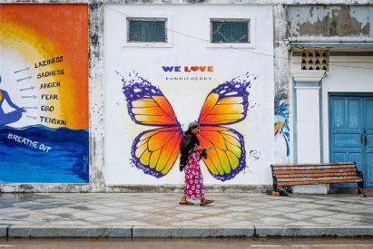 Wall art of a butterfly illustrated on a concrete wall in Pondicherry, India