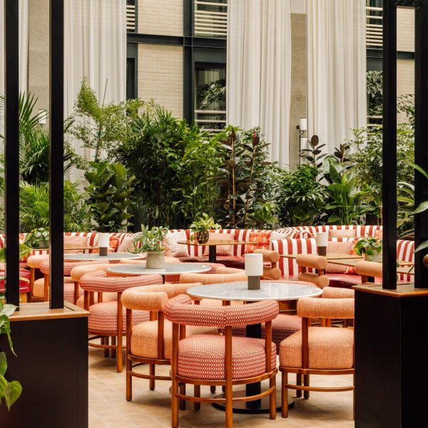 “Dramatic arboretum” forms centrepiece of Locke hotel in Paris