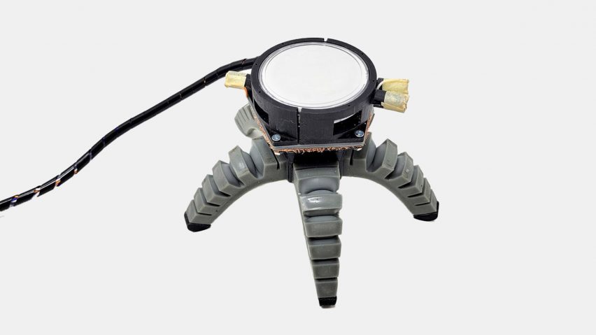 Biohybrid robots