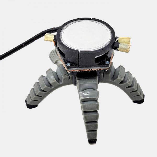 Biohybrid mushroom robot